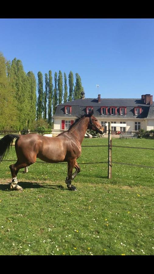 ホテル Le Domaine De Barbizon Saint-Martin-en-Bière エクステリア 写真