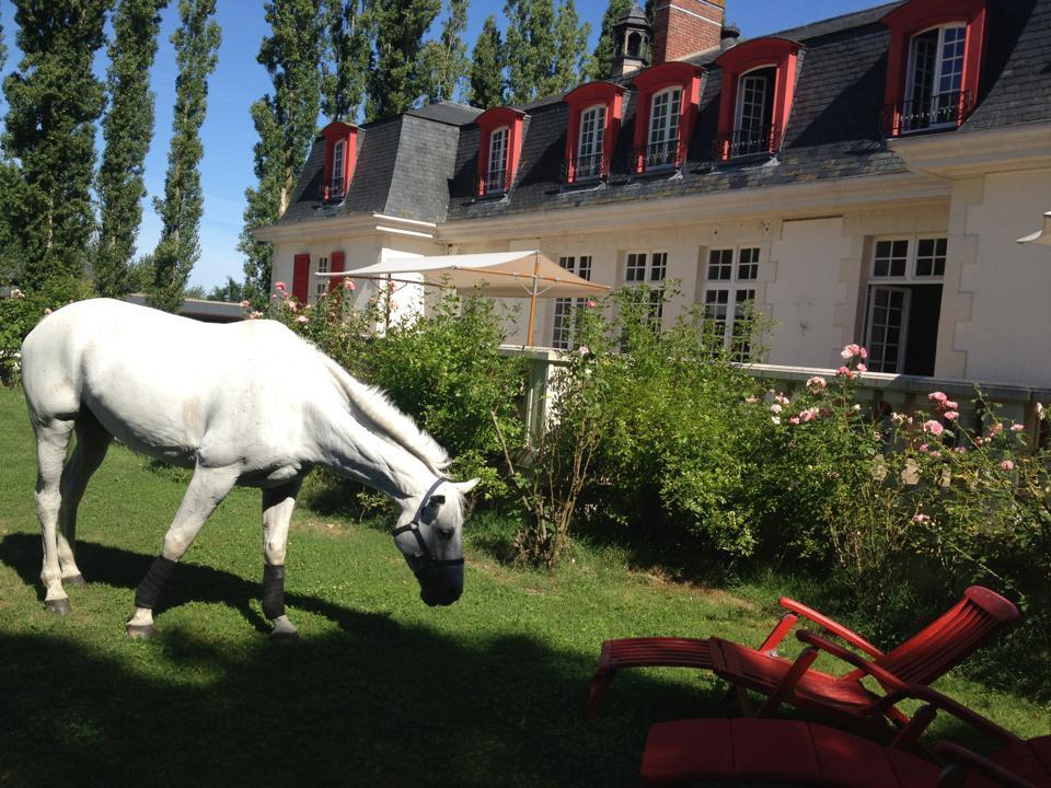 ホテル Le Domaine De Barbizon Saint-Martin-en-Bière エクステリア 写真